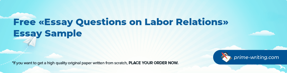 Essay Questions on Labor Relations