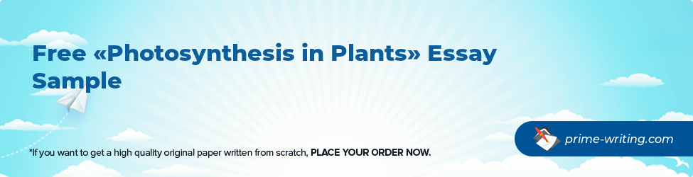Photosynthesis in Plants